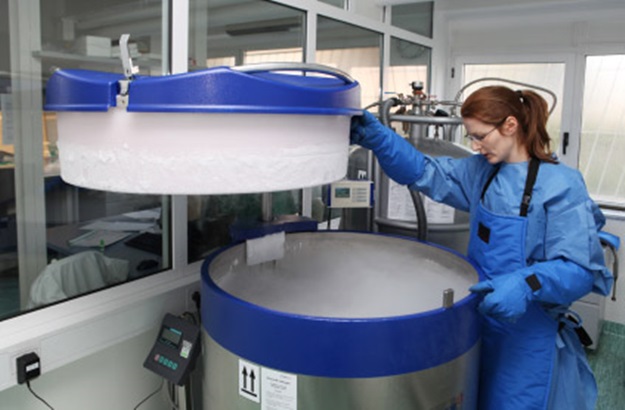 cryogenic application